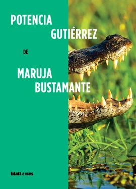 Maruja Bustamante Potencia Gutiérrez обложка книги