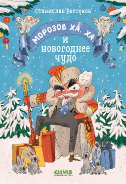 Станислав Востоков Морозов Ха. Ха. и новогоднее чудо обложка книги