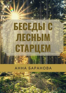 Анна Баранова Беседы с Лесным Старцем обложка книги
