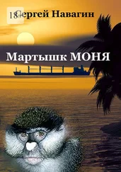 Сергей Навагин - Мартышк Моня