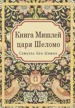 Самуэль Бен Шимон Книга Мишлей царя Шеломо обложка книги