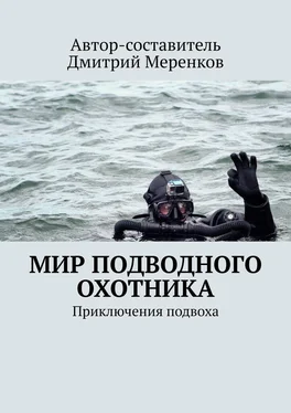 Полина Рахленко Мир подводного охотника. Приключения подвоха обложка книги