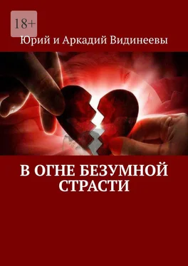 Юрий и Аркадий Видинеевы В огне безумной страсти обложка книги