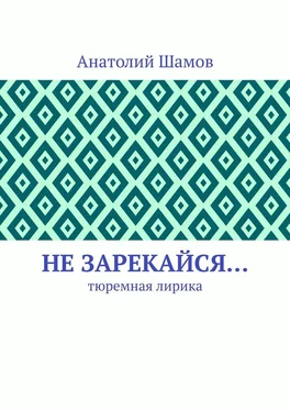 Анатолий Шамов Не зарекайся… Тюремная лирика обложка книги