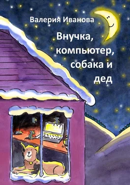 Валерия Иванова Внучка, компьютер, собака и дед обложка книги