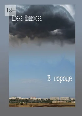 Елена Новикова В городе обложка книги