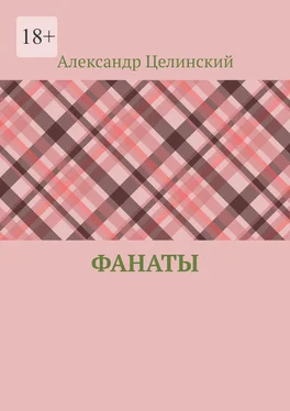 Александр Целинский Фанаты обложка книги