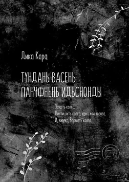 Дика Кара Тундань васень панчфнень идьснонды. Эряфть колга. Пинтишить колга, кона ули эсонза. И, видекс, Вармать колга обложка книги