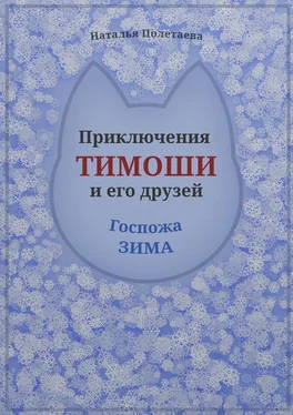 Наталья Полетаева Приключения Тимоши и его друзей. Госпожа Зима обложка книги