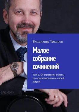 Владимир Токарев Малое собрание сочинений. Том 6. От стратегии страны до продюсирования своей жизни обложка книги