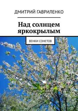 Дмитрий Гавриленко Над солнцем яркокрылым. Венки сонетов обложка книги