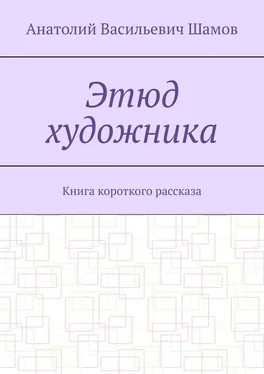 Анатолий Шамов Этюд художника. Книга короткого рассказа обложка книги