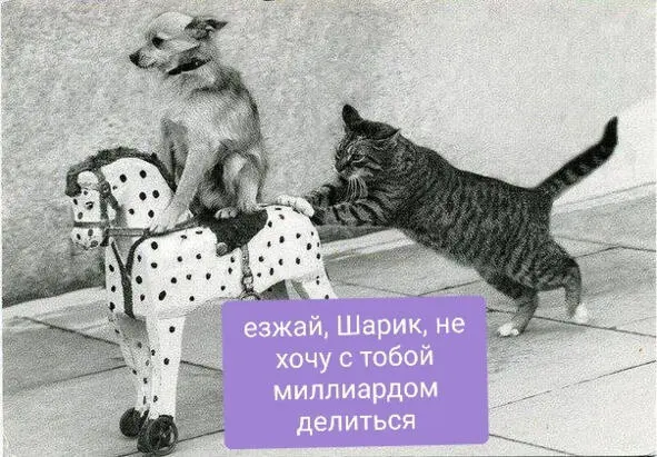 Но перед смертью отвечает Страшила он успел оставить вам миллион - фото 4