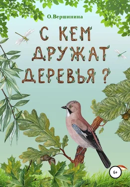 Ольга Вершинина С кем дружат деревья? обложка книги