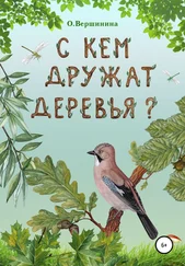 Ольга Вершинина - С кем дружат деревья?