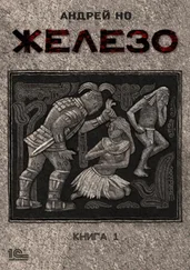 Андрей Но - Железо. Книга 1