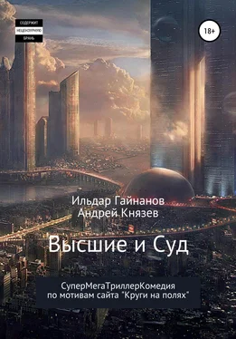 Ильдар Гайнанов Высшие и суд обложка книги