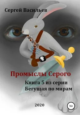 Сергей Васильев Промыслы Серого обложка книги