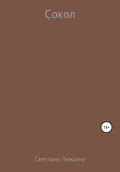 Светлана Ляндина - Сокол