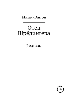 Антон Мишин Отец Шрёдингера. Две остановки обложка книги