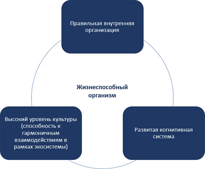 В случае бизнессистемы аналогами этих атрибутов как раз являются Правильный - фото 11