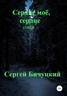 Сергей Бичуцкий Сердце моё, сердце обложка книги