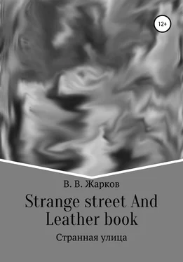 Владислав Жарков Strange street and Leather book обложка книги