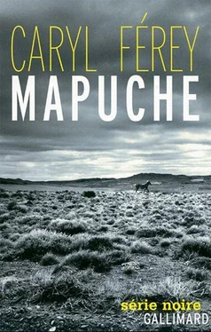 Caryl Férey Mapuche обложка книги