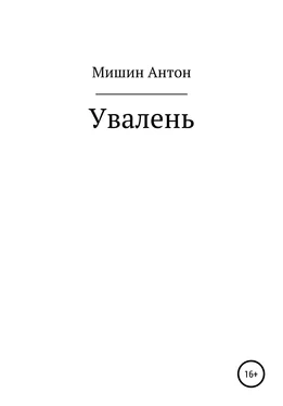 Антон Мишин Увалень обложка книги