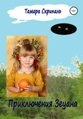 Тамара Скрипаль - Приключения Зеуана