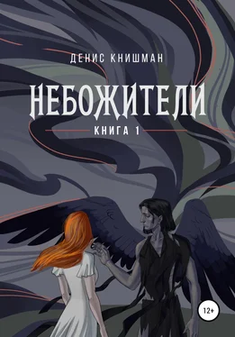 Денис Книшман Небожители. Книга I обложка книги