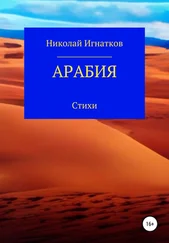Николай Игнатков - Арабия