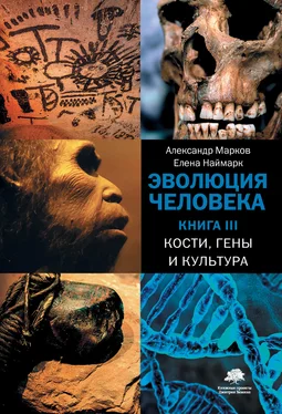 Александр Марков Кости, гены и культура обложка книги