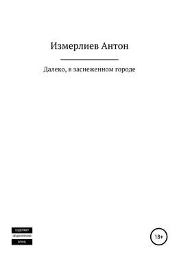 Антон Измерлиев Далеко, в заснеженном городе обложка книги