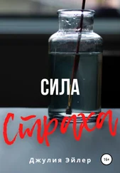 Джулия Эйлер - Сила страха