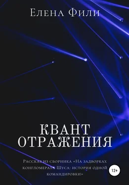 Елена Фили Квант отражения обложка книги