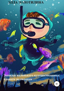 Элла Золотилина Записки маленького путешественника: плаваем по океанам обложка книги