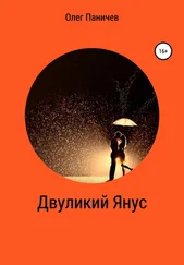 Олег Паничев - Двуликий Янус