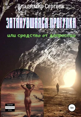 Владимир Сергеев Затянувшаяся прогулка, или Средство от депрессии обложка книги