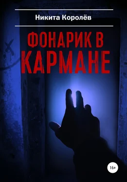 Никита Королёв Фонарик в кармане обложка книги