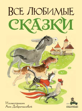 Якоб и Вильгельм Гримм Все любимые сказки обложка книги