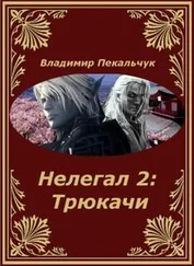 Владимир Пекальчук - Трюкачи - роман завершен