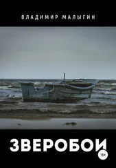 Владимир Малыгин - Зверобои