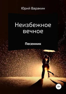 Юрий Варакин Неизбежное вечное обложка книги