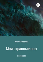 Юрий Варакин - Мои странные сны