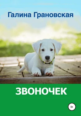 Галина Грановская Звоночек обложка книги