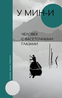 У Мин-и Человек с фасеточными глазами обложка книги