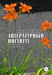 Виктор Улин - Литературный институт