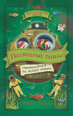 Питер Банзл Подводные тайны обложка книги