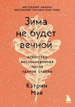 Кэтрин Мэй Зима не будет вечной. Искусство восстановления после ударов судьбы обложка книги